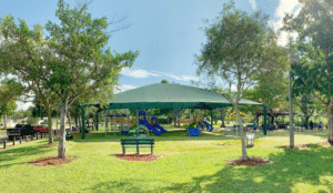 Sunny park with playground and green canopy.