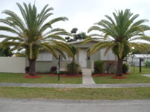 Single-story home with palm trees and a manicured lawn.